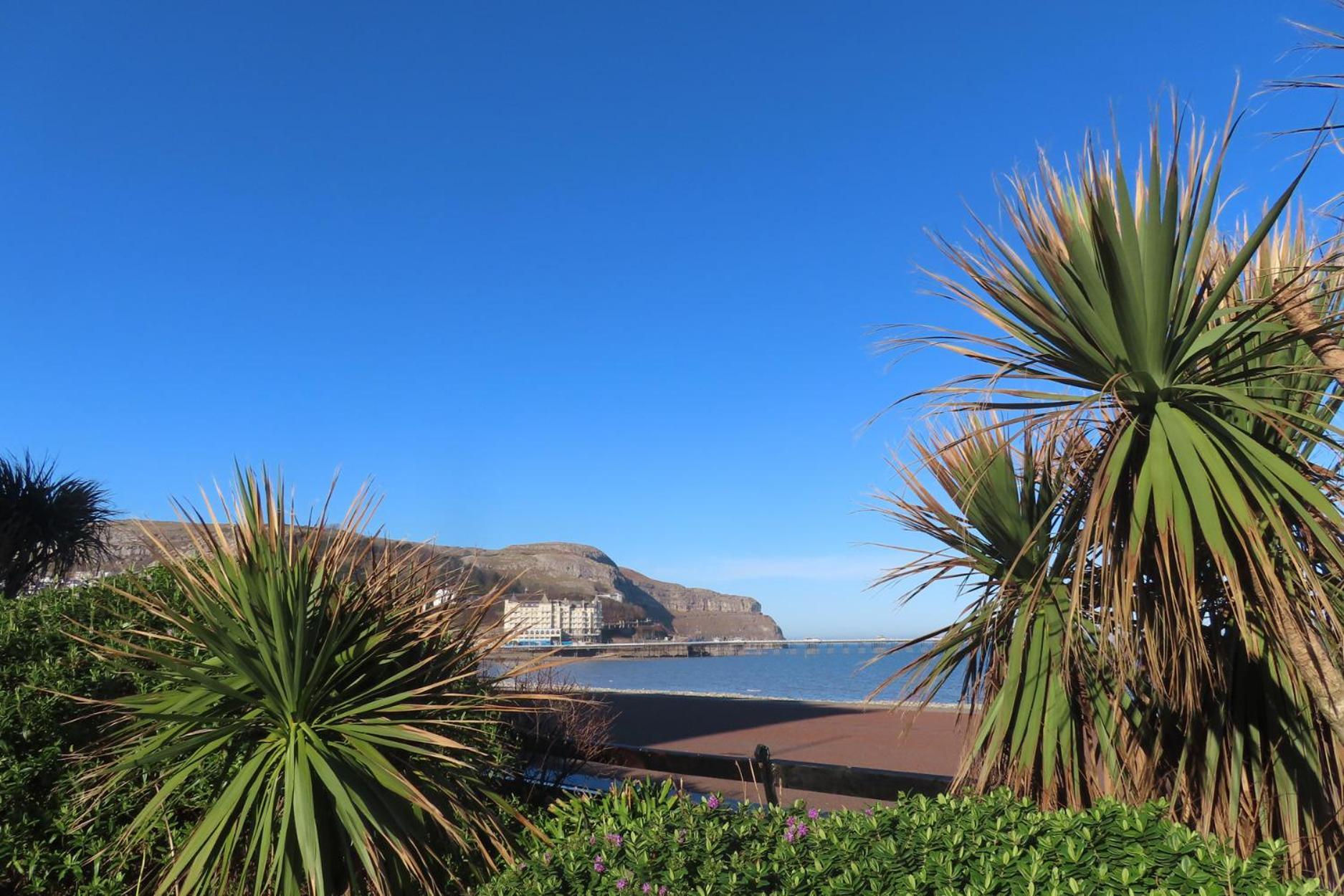 Villa Noah'S Rest à Llandudno Extérieur photo